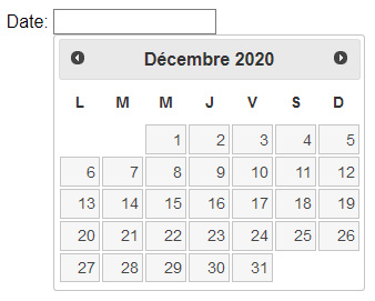 Exemple d'un Datepicker (légende ci-après)